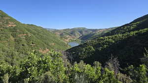 View of mountain backdrop featuring a large body of water and a forest