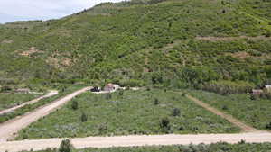 Mountain view with a forest