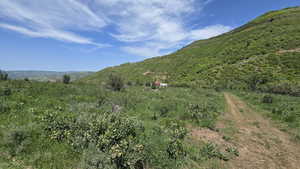 View of mountain backdrop