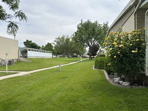 View of green lawn with cooling unit