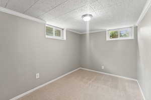 Basement with carpet floors and crown molding