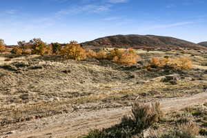 View of mountain background
