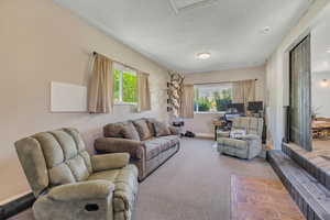 Living room featuring a textured ceiling and carpet flooring