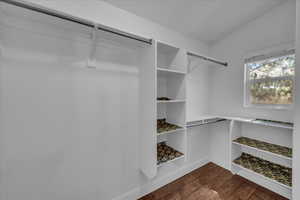 Walk in closet with dark wood-style flooring