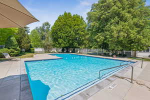 Community pool with a patio and view of scattered trees