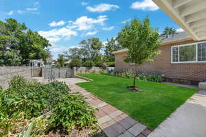 View of backyard with a patio
