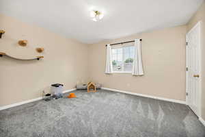 Empty room with carpet floors and baseboards