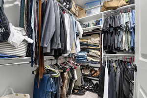 Spacious closet featuring carpet flooring