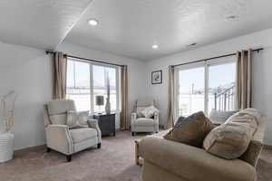 Living area featuring light carpet, a textured ceiling, and recessed lighting