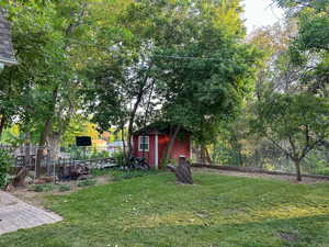 View of yard featuring a shed