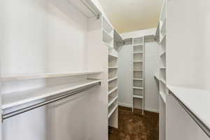 Walk in closet featuring carpet