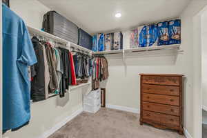 Spacious closet with carpet floors