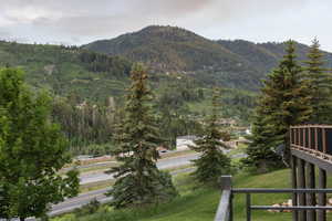 Mountain view with a forest