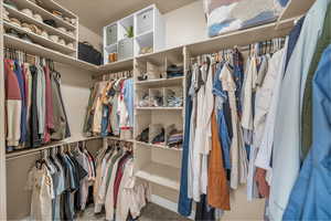 Walk in closet with carpet