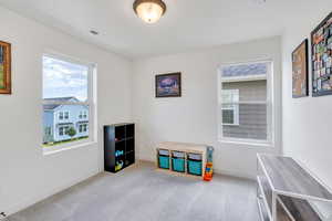 Rec room with baseboards and carpet floors