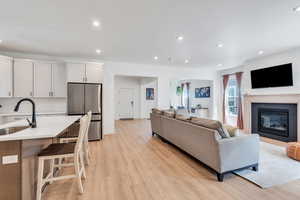 Living room with light wood-type flooring, recessed lighting, and a glass covered fireplace