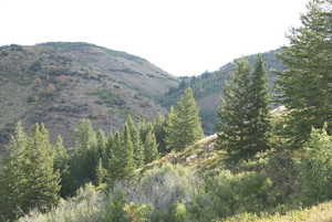 View of mountain backdrop