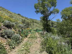 View of undeveloped land featuring mountains