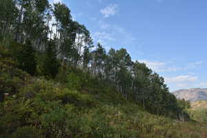 View of undeveloped land with a mountain backdrop