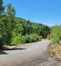 View of street featuring a view of trees