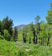View of mountain backdrop