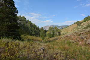 Mountain view