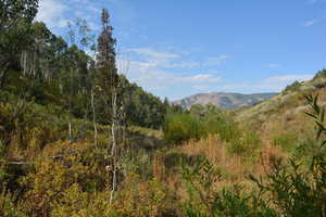 Mountain view
