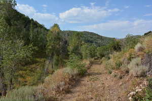 View of mountain backdrop featuring a forest