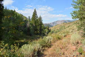 Mountain view