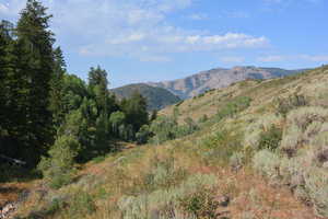 View of mountain backdrop