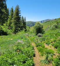 View of mountain background