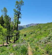 View of mountain backdrop