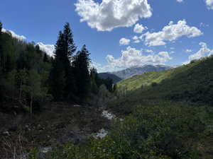 View of mountain backdrop featuring a forest