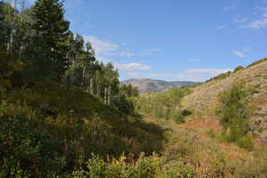 View of mountain backdrop