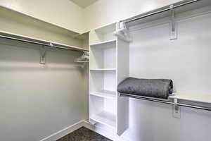 Spacious closet with dark carpet