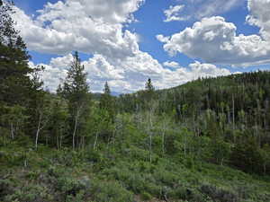 View of mountain background featuring a forest