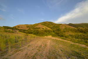 View of mountain background