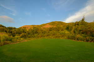 Mountain view