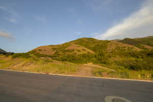 View of mountain background