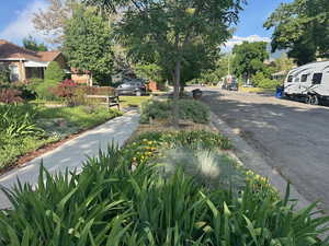 View of asphalt road