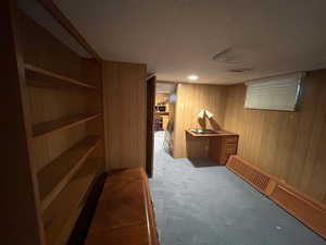 Interior space featuring carpet floors and wooden walls