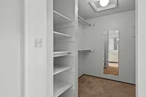 Spacious closet featuring carpet floors