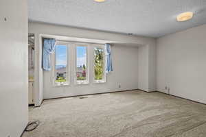 Empty room featuring carpet flooring and a textured ceiling