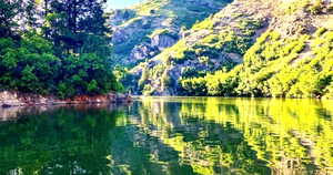 Causey