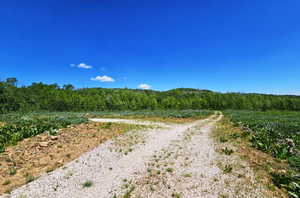 View of dirt / gravel road with a wooded view