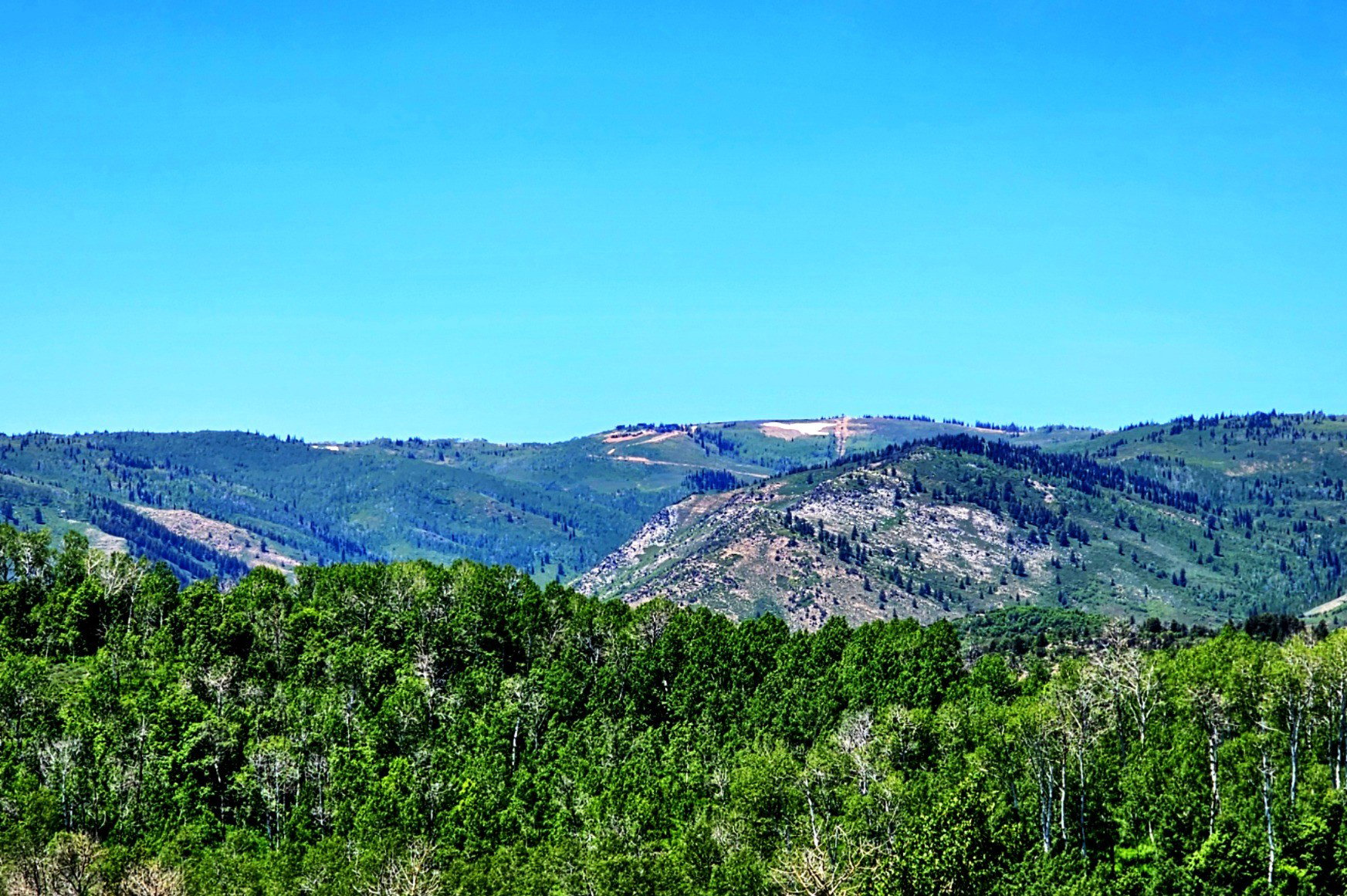 Powder Mountain