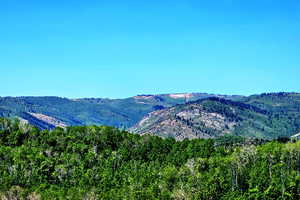 Powder Mountain