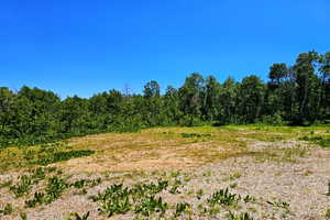 View of undeveloped land