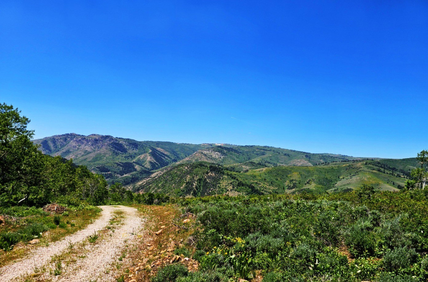 View of mountain background
