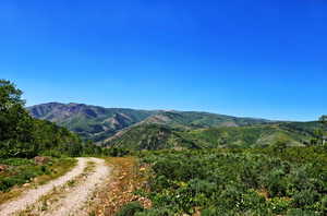 View of mountain background